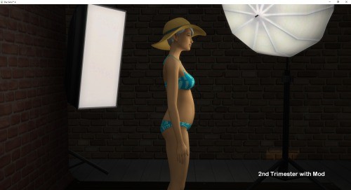Small Pregnancy Tweaks Mod by LittleMsSam, Sims 4 pregnancy mods