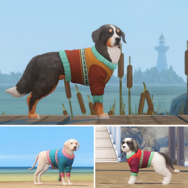 Best Boy Sweater Sims 4 CC Dog Clothes