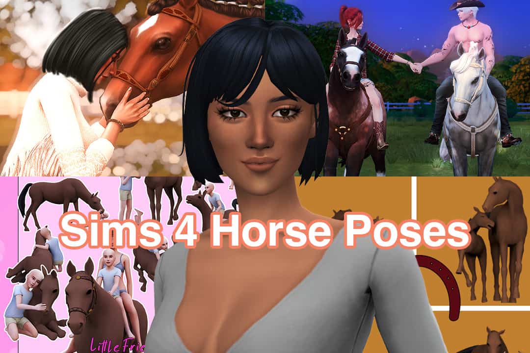 Horse poses 