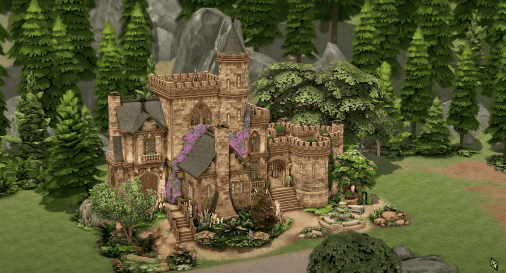 Castle Museum and Library Build
